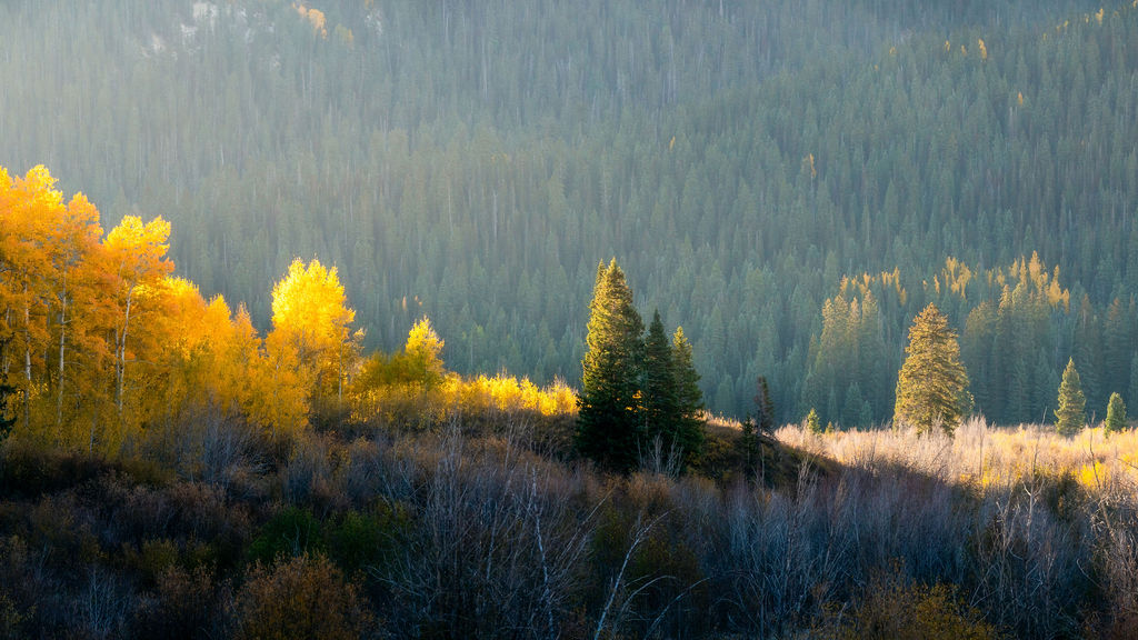 Fall Photo Contest event image
